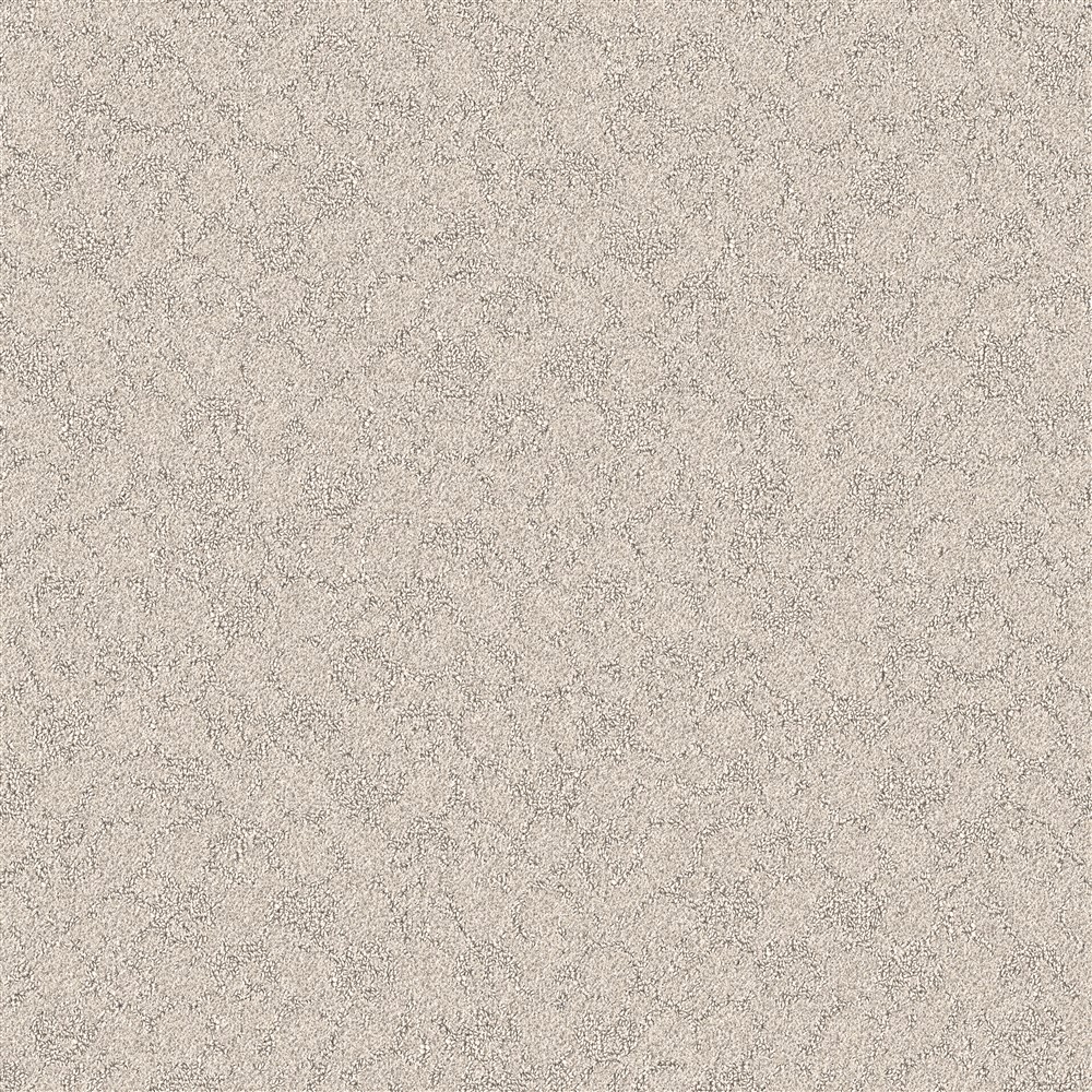 Beaulieu Canada Residential Carpet Cloudscape j1673