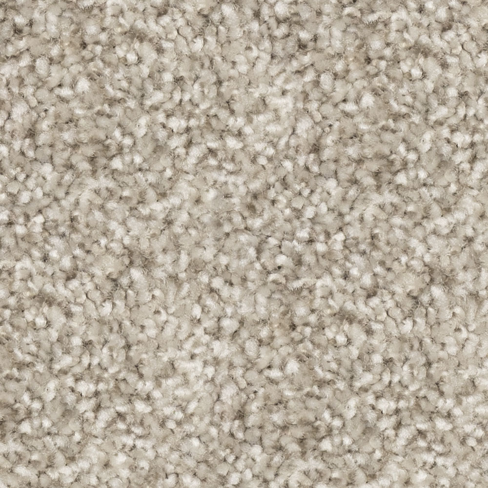 Beaulieu Canada Residential Carpet Prodigy j4695