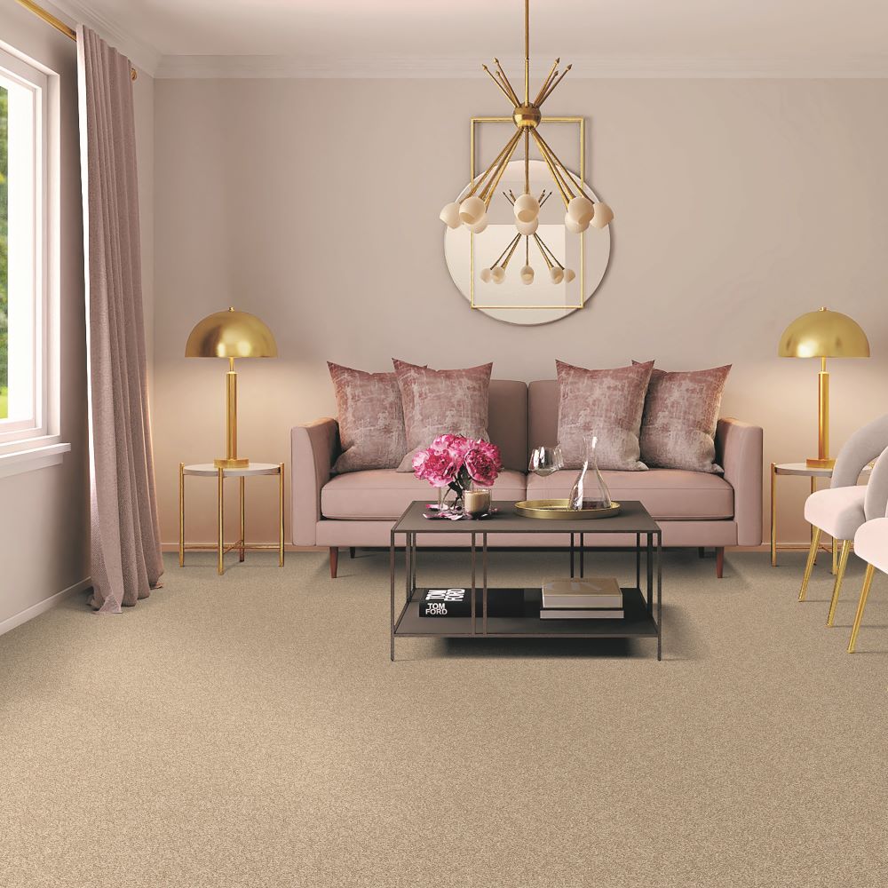Beaulieu Canada Builder Carpet Cosy Ambiance j4753