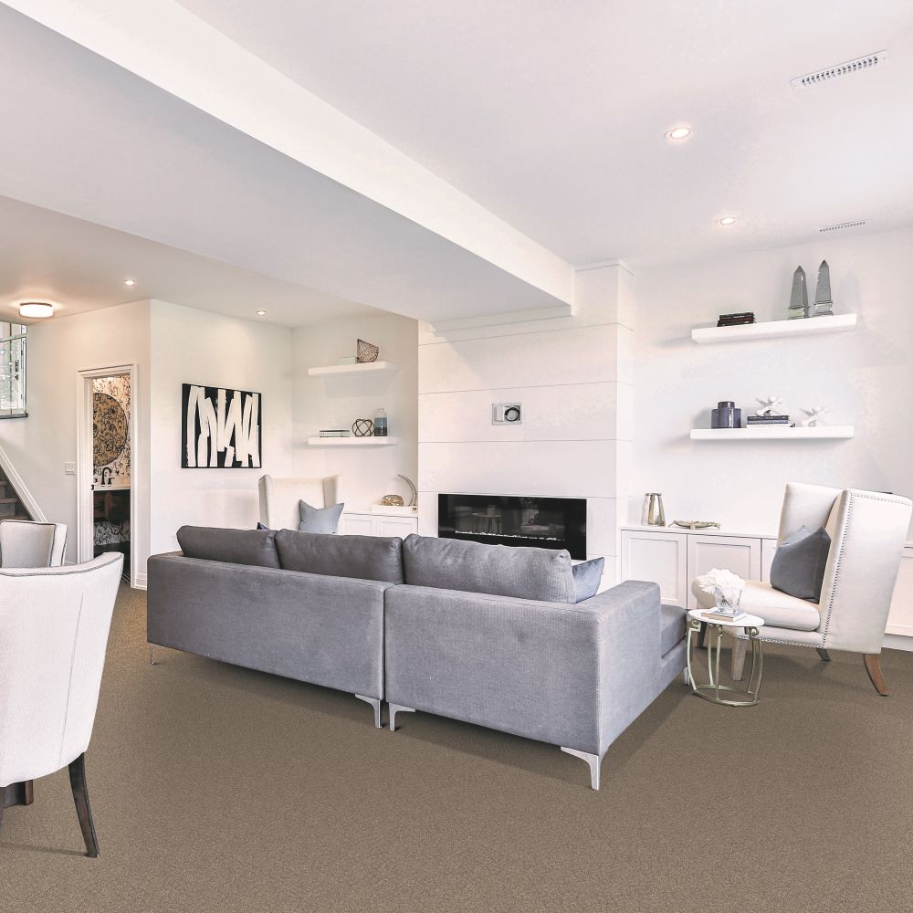 Beaulieu Canada Builder Carpet Calm Ambiance j4754