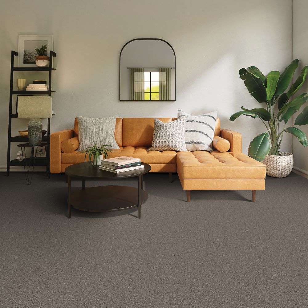 Beaulieu Canada Builder Carpet Serene Ambiance j4756