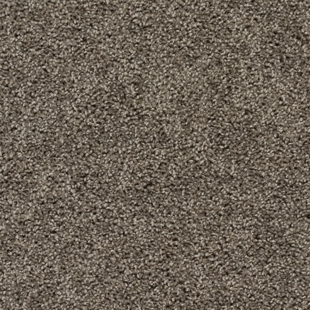 Beaulieu Canada Builder Carpet High Five a4920
