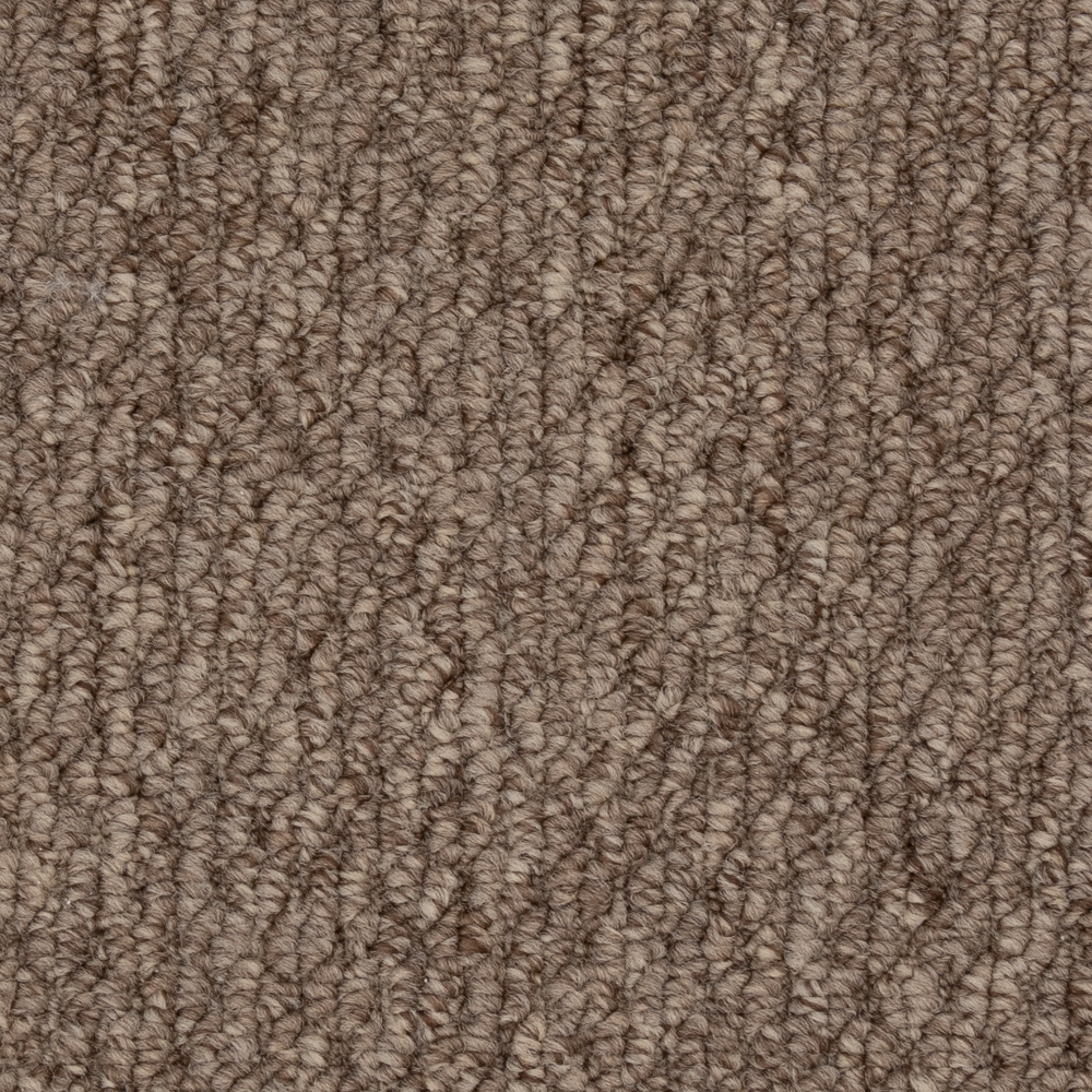 Beaulieu Canada Builder Carpet Cupido II 6436