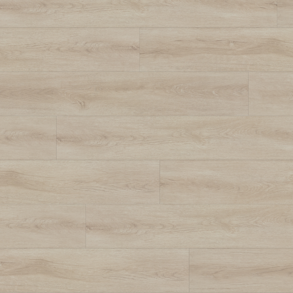 Beaulieu Canada Builder Laminate Alboro Xtra 8081