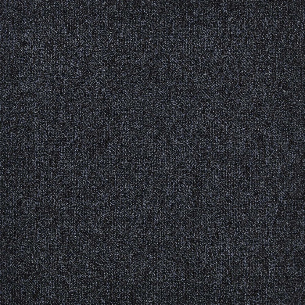 Beaulieu Canada Builder Carpet First Forward t24