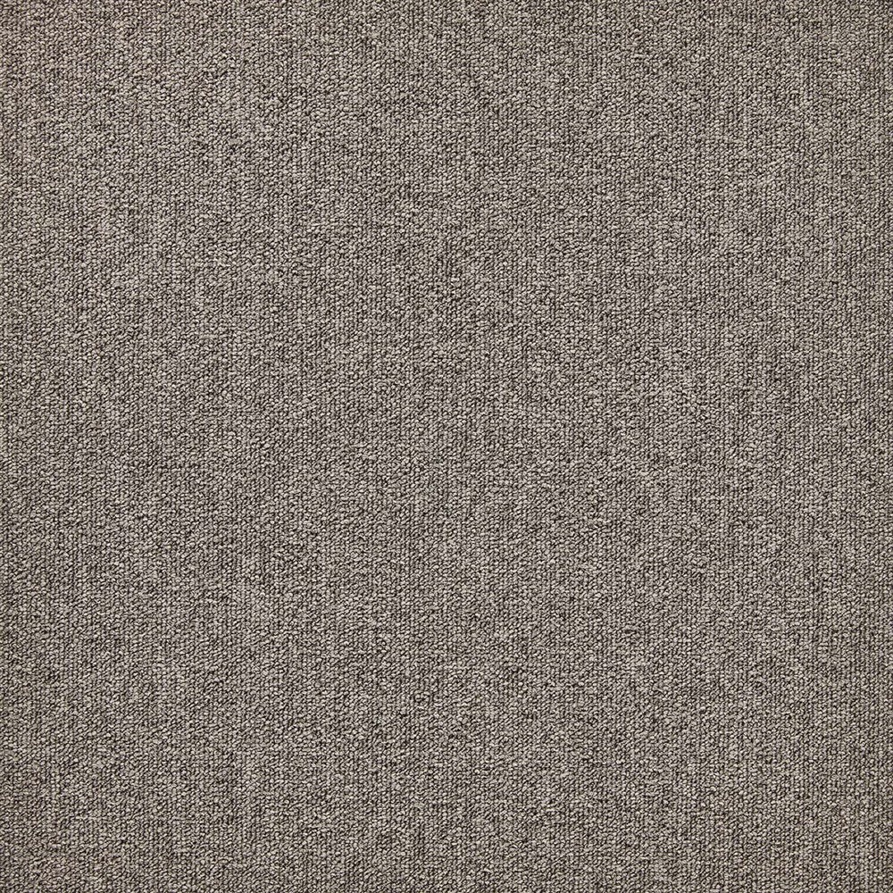 Beaulieu Canada Builder Carpet First Forward-Stk t24s